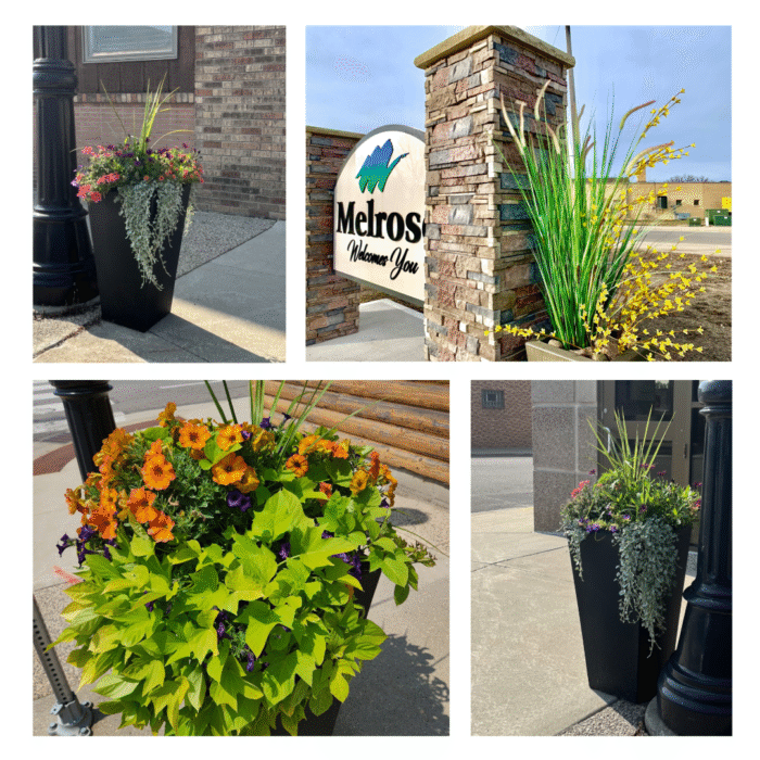Beautification Project-2