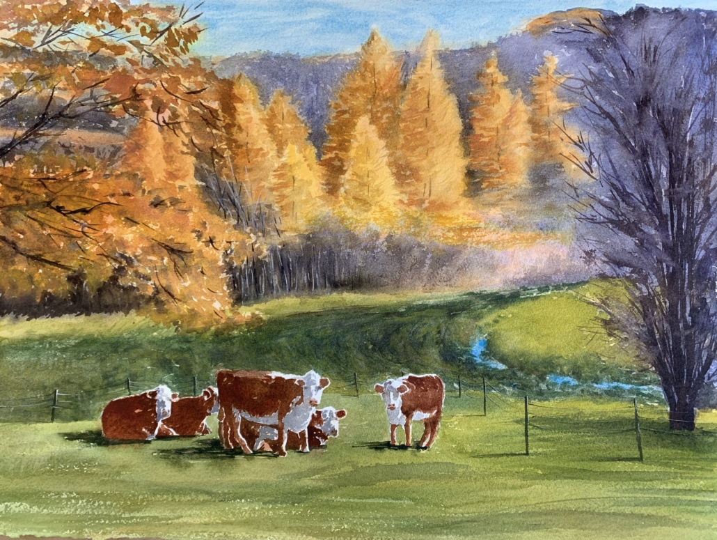 watercolor drawing of Hereford cows