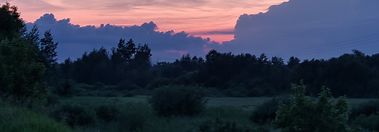 cover photo for featured artist Chris Atkinson